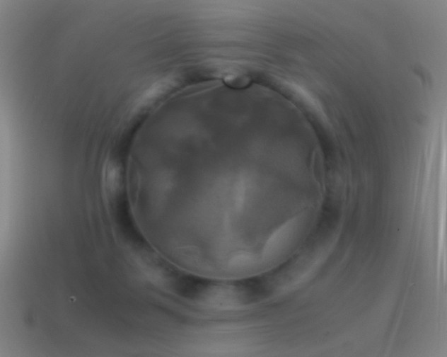 X0000114700123200910211300