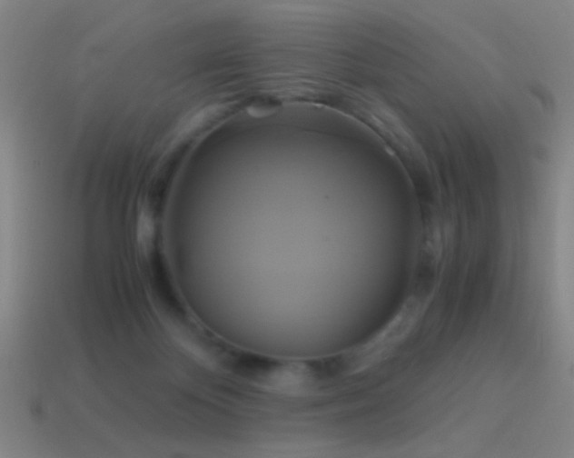 X0000114700124200910211300