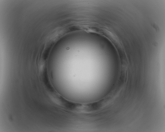 X0000114700125200910211300