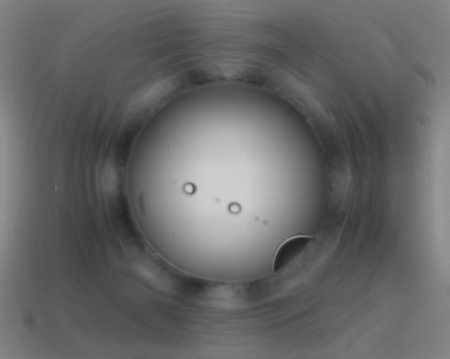 X0000114700126200910211300