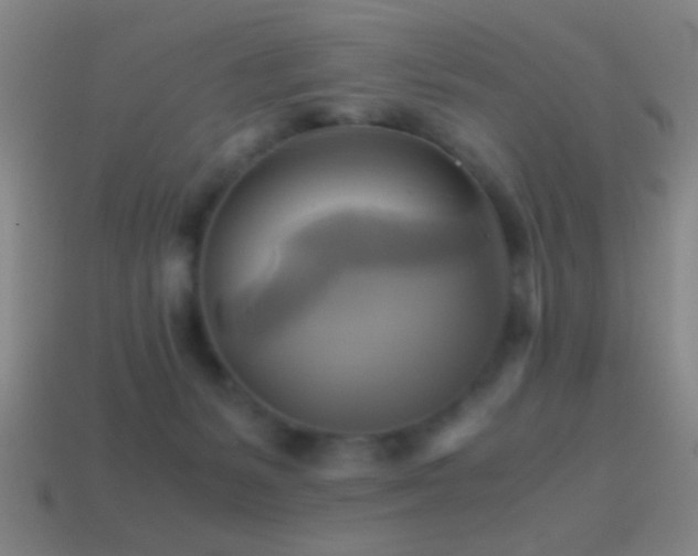 X0000114700127200910211300