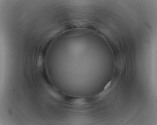 X0000114700132200910211300