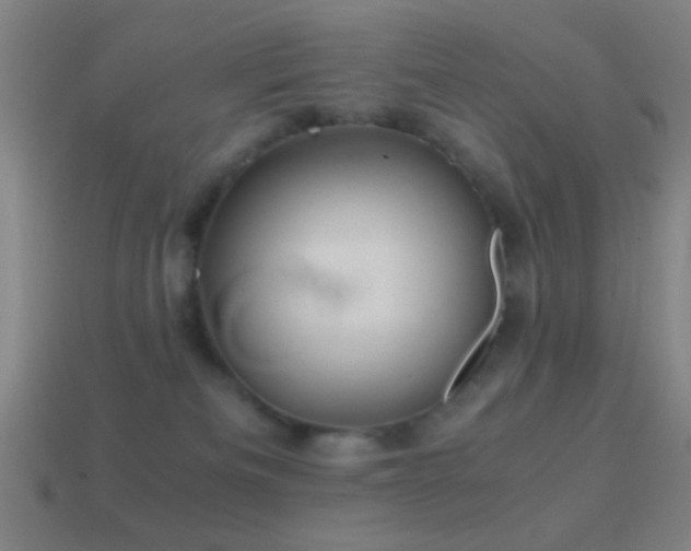 X0000114700133200910211300