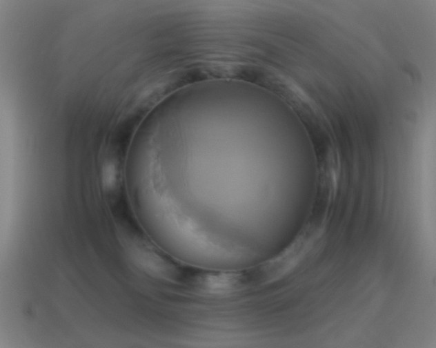 X0000114700134200910211300