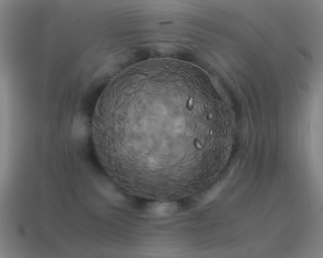 X0000114700135200910211300