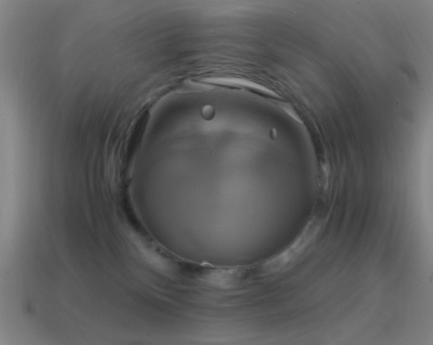 X0000114700136200910211300