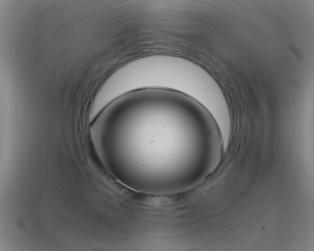 X0000114700137200910211259