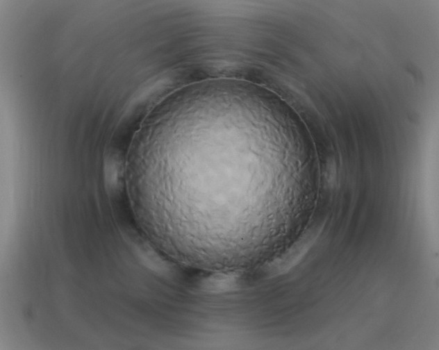 X0000114700138200910211259