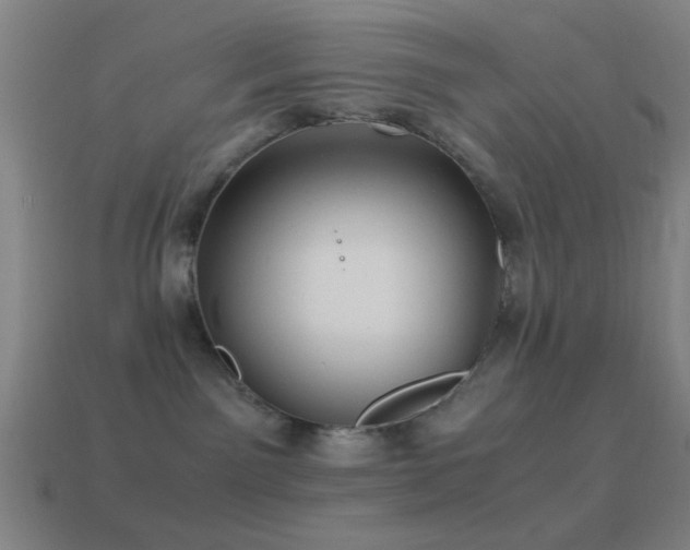 X0000114700141200910211259