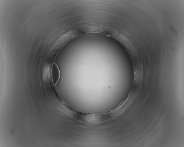 X0000114700142200910211259