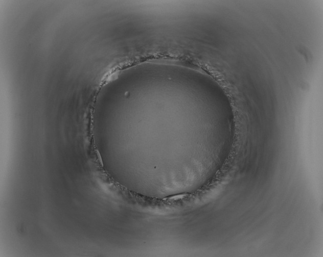 X0000114700144200910211259