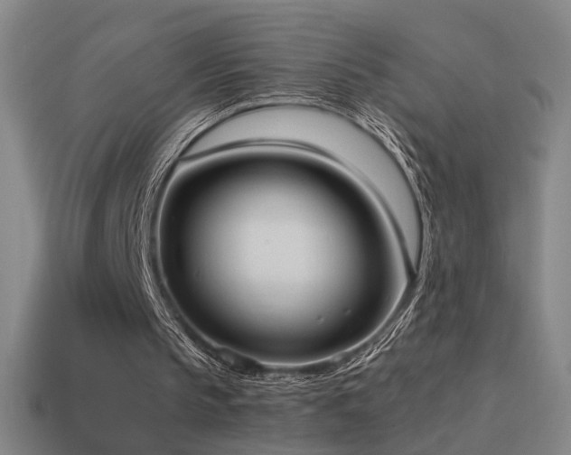 X0000114700145200910211259