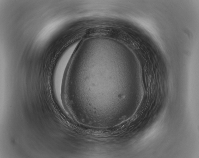 X0000114700146200910211259