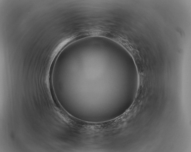 X0000114700147200910211259