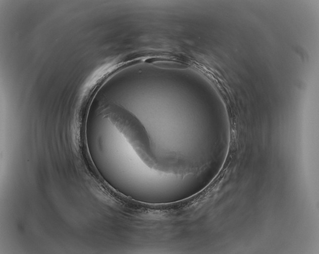 X0000114700149200910211259