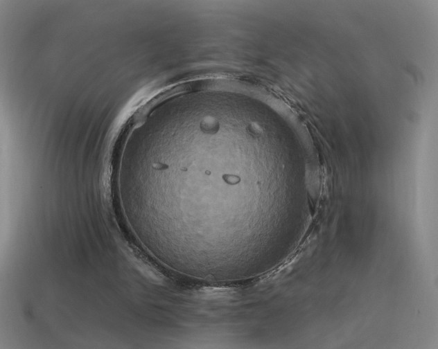 X0000114700150200910211259