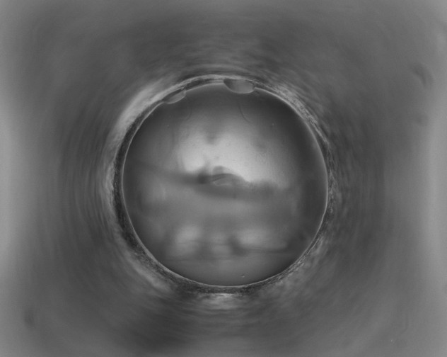 X0000114700151200910211259