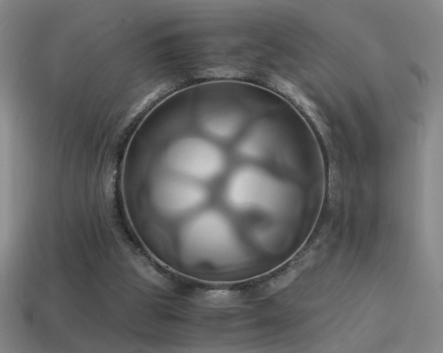 X0000114700153200910211259