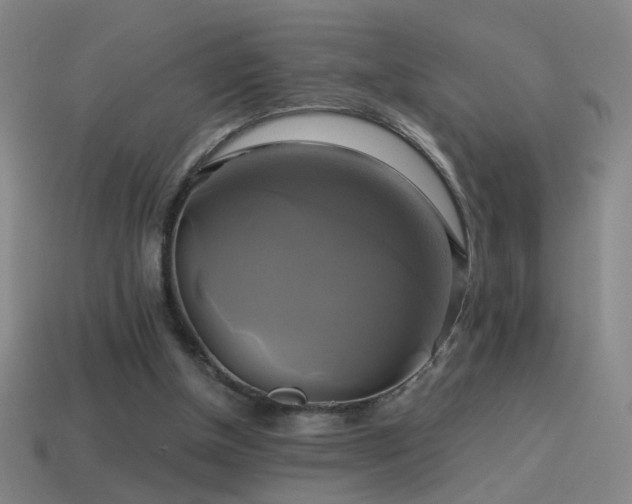 X0000114700154200910211259