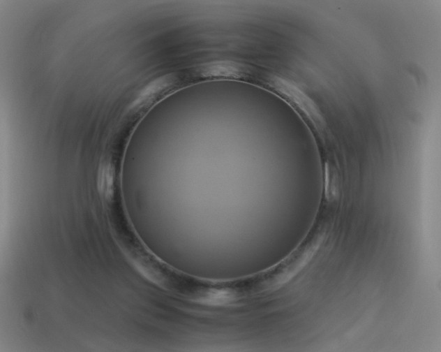 X0000114700157200910211259