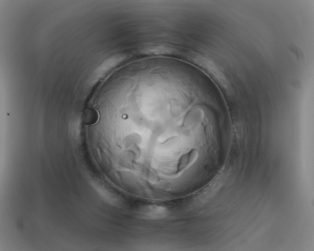 X0000114700159200910211259