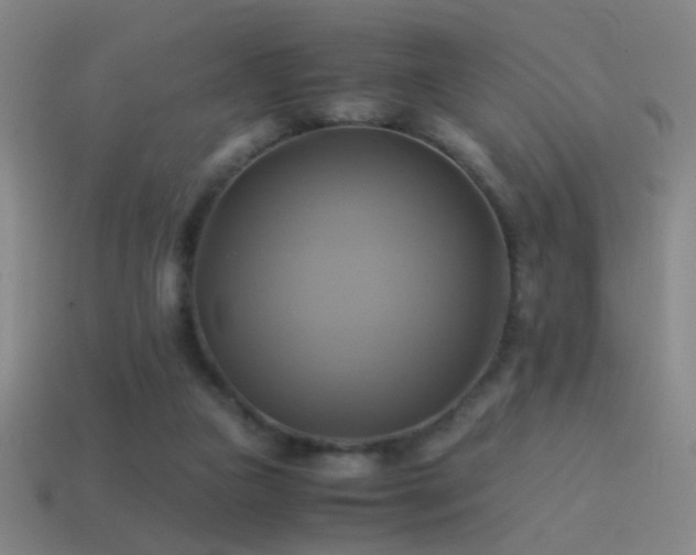 X0000114700161200910211259