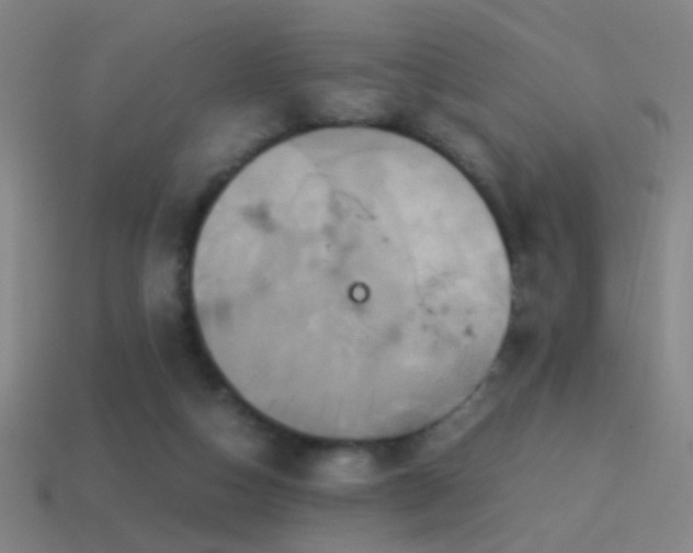 X0000114700162200910211259