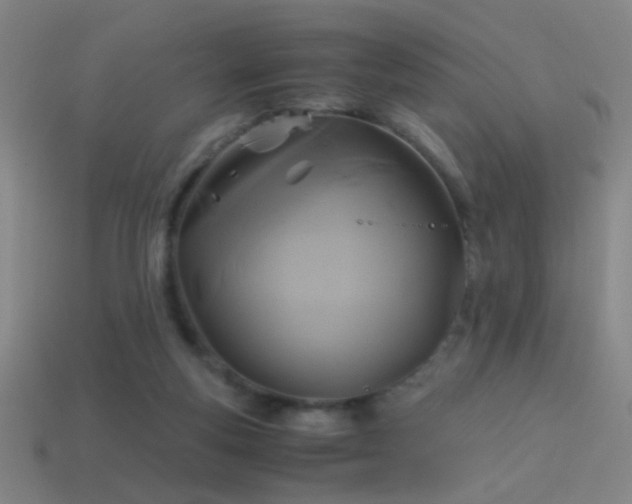 X0000114700163200910211259