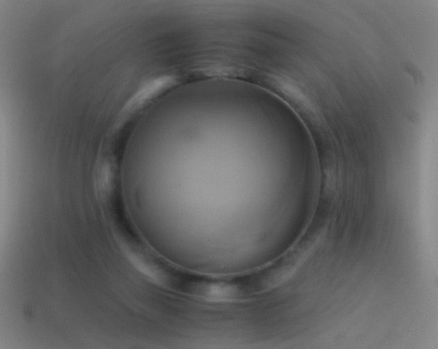 X0000114700165200910211259