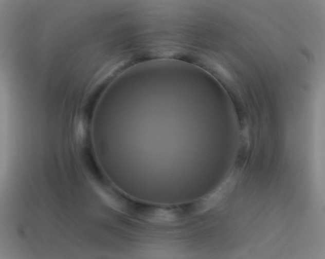 X0000114700166200910211259