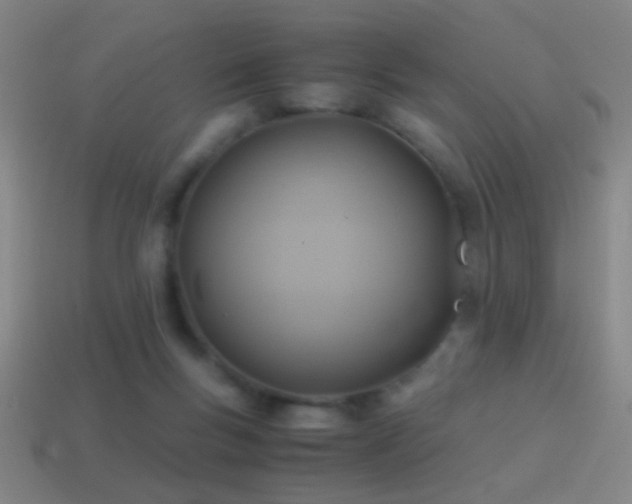 X0000114700167200910211259