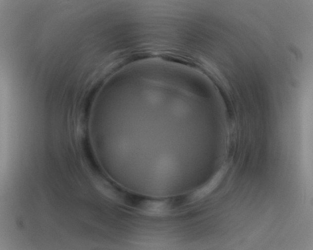 X0000114700170200910211259