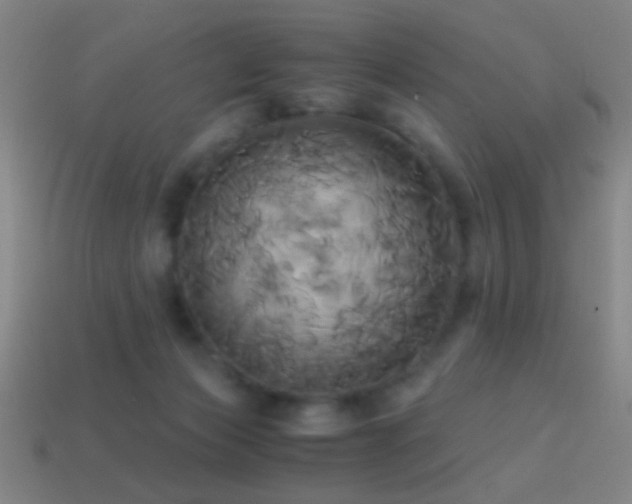 X0000114700173200910211259