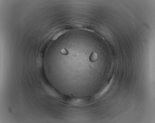 X0000114700174200910211259