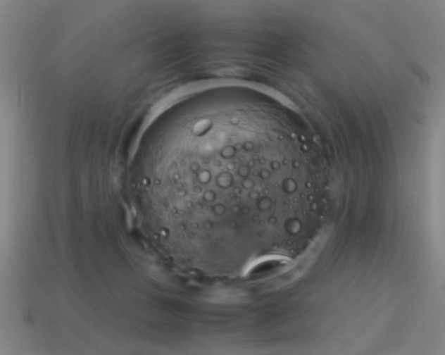 X0000114700175200910211259