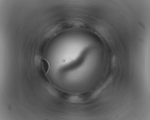 X0000114700177200910211259