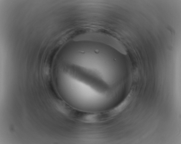 X0000114700178200910211259