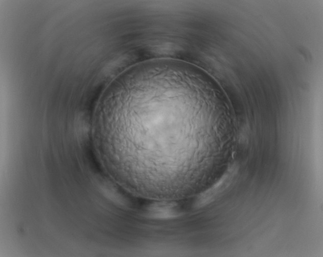 X0000114700179200910211259