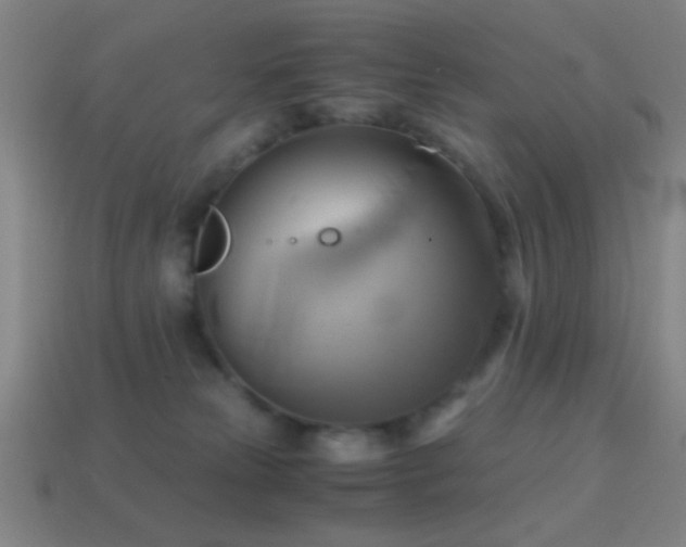 X0000114700181200910211259