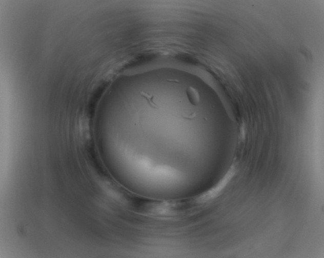 X0000114700182200910211259