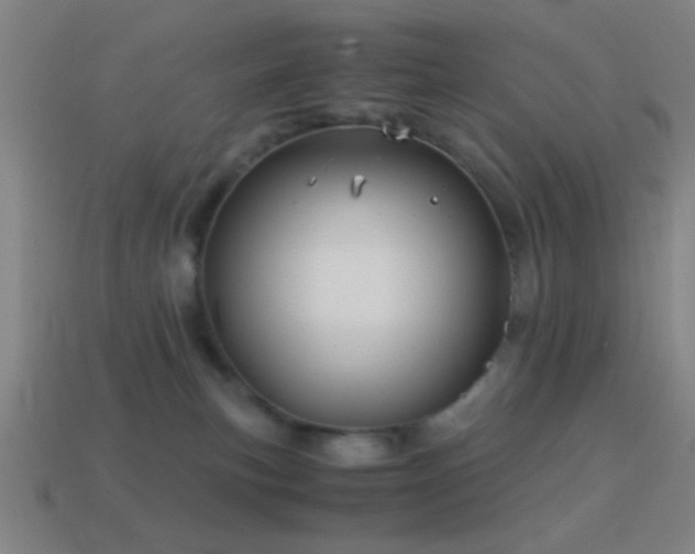 X0000114700183200910211259