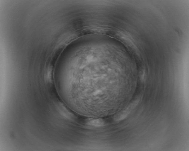 X0000114700185200910211259