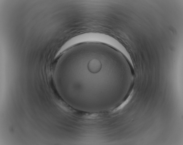 X0000114700186200910211259