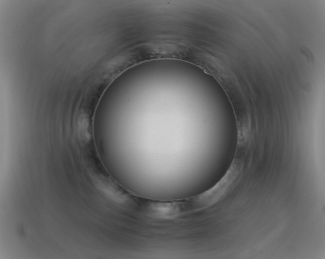 X0000114700187200910211259