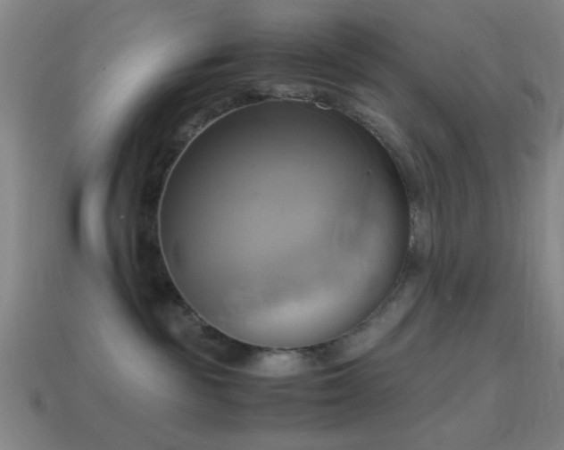 X0000114700189200910211259