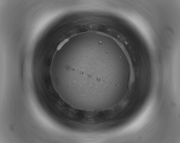 X0000114700190200910211259