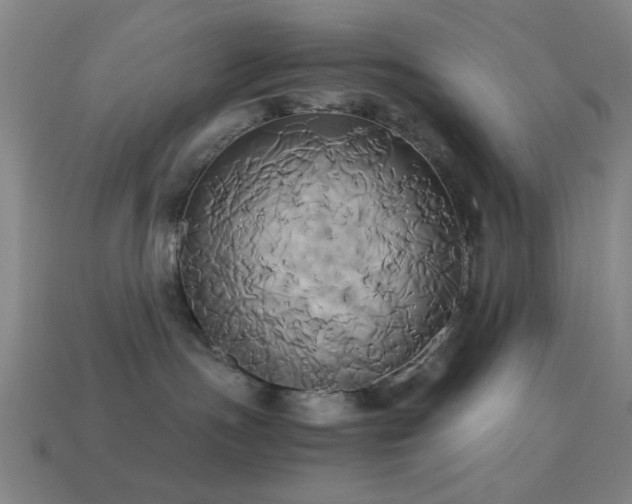 X0000114700191200910211259