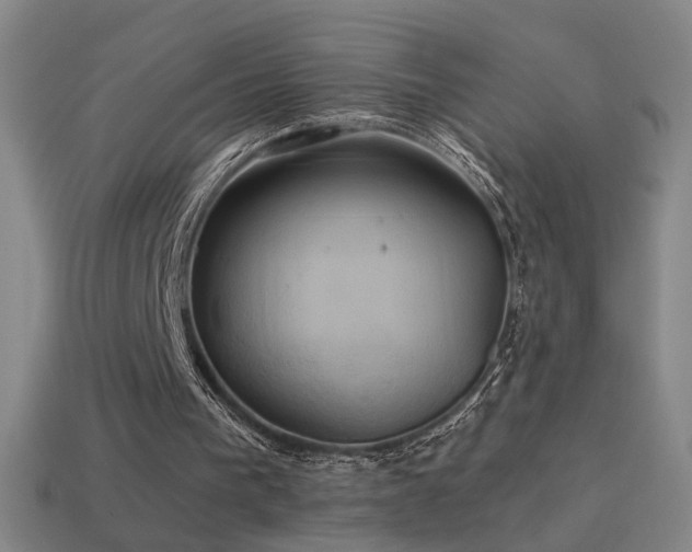 X0000114700193200910211259