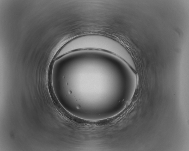 X0000114700195200910211259