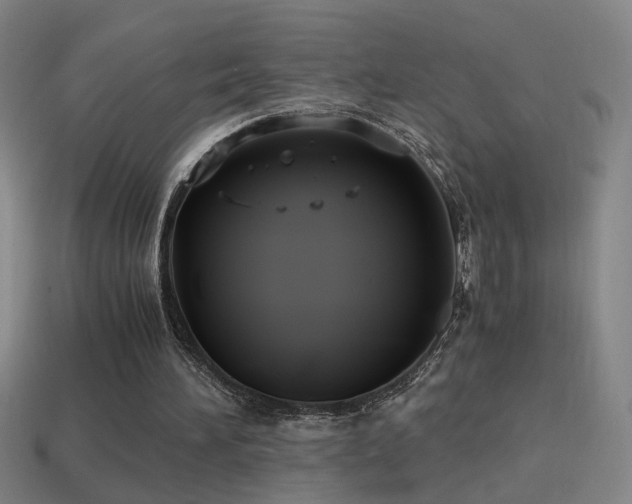 X0000114700196200910211259